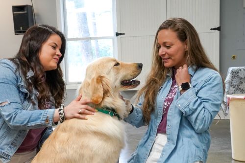 therapy dog child life